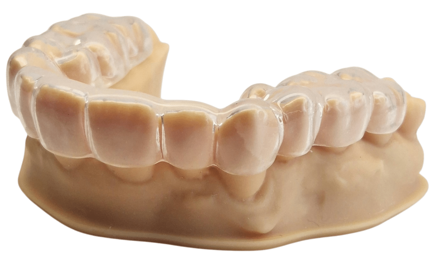 Modello dentale